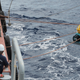Deploying ocean-bottom seismometers in February 2019.